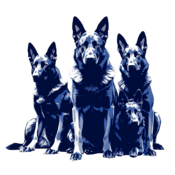 German-shepherds.png