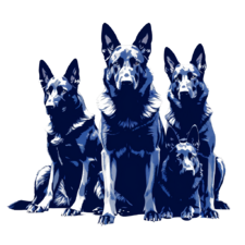 German-shepherds.png