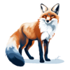 Curious fox 4.png