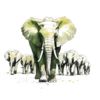 Elephants.png