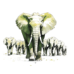 Elephants.png